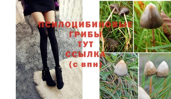 гашик Белоозёрский