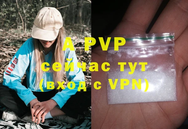 гашик Белоозёрский