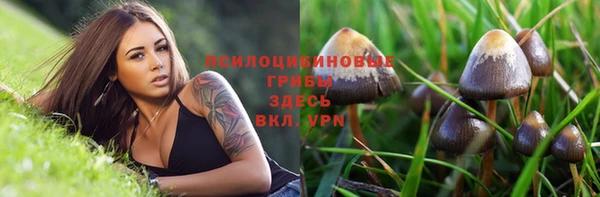 гашик Белоозёрский