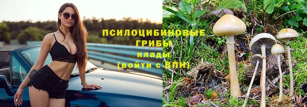 гашик Белоозёрский
