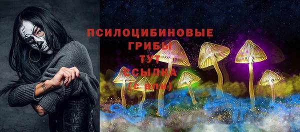 наркотики Белокуриха