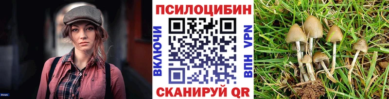 Псилоцибиновые грибы Psilocybine cubensis  Волоколамск 