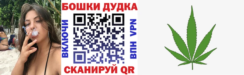 Конопля сатива Волоколамск