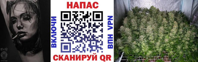 Канабис план  Волоколамск 